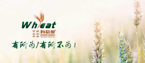 杭州平面設(shè)計(jì)培訓(xùn)課程 同構(gòu)在圖形設(shè)計(jì)創(chuàng)意中的應(yīng)用